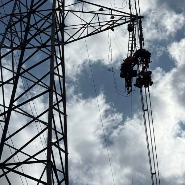 IMG_3325 IMG_3325